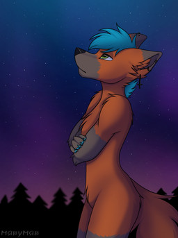 anthro blue_hair ear_piercing forest_background fur green_eyes hair male night orange_body orange_fur piercing sky solo miavumav canid canine fox mammal hi_res
