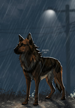 ambiguous_gender brown_body brown_fur detailed_background feral fur night outside raining sky solo text utility_pole msdeadsoul erko canid canine canis domestic_dog german_shepherd herding_dog mammal pastoral_dog 2021 english_text hi_res