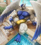 abs anthro balls biceps blue_body blue_feathers blue_hair blue_talons bulge claws clothed clothing day erection erection_under_clothing feathers feet finger_claws genitals hair humanoid_genitalia humanoid_penis male muscular muscular_thighs nipples obliques outside palm_tree pecs penis plant quads solo speedo steps swimming_pool swimwear talons toe_claws toes tree water white_body white_feathers wings yellow_sclera takahirosi sova avian bird owl 2021 hi_res