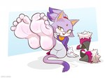 5_toes anthro barefoot bodily_fluids clothed clothing feet female foot_focus footwear purple_body shoes shoes_removed soles solo sweat sweaty_feet teasing teasing_feet toes mrvalentim sega sonic_the_hedgehog_(series) blaze_the_cat domestic_cat felid feline felis mammal hi_res