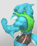 anthro blue_body blue_skin clothed clothing countershading male muscular muscular_anthro muscular_male pose sharp_teeth solo teeth captainjohkid fish marine shark 4:5 hi_res