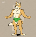 anthro barefoot black_eyes black_nose briefs briefs_only clothed clothing detailed_background feet fur green_briefs green_clothing green_underwear male monotone_briefs monotone_clothing monotone_underwear muscular muscular_male navel nipples orange_body orange_fur shadow simple_background solo tan_background tan_body tan_fur text topless underwear underwear_only white_text tadaoardo nintendo star_fox fox_mccloud 2024 absurd_res hi_res