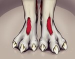 absurd_res ambiguous_gender anthro claws digitigrade dragon feet foot_fetish foot_shot fur hi_res muffinvinvin mythological_creature mythological_scalie mythology paws red_body red_fur scalie simple_background solo toes tuft white_body