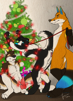 anal anal_penetration anthro anthro_on_anthro anthro_penetrated anthro_penetrating anthro_penetrating_anthro black_body black_fur black_nose blue_eyes brown_body brown_fur christmas_tree entangled erection floppy_ears front_view fur genitals glistening glistening_eyes group holidays kerchief knot looking_back male male/male male_penetrated male_penetrating male_penetrating_male markings mouth_closed narrowed_eyes neckerchief neckwear nude open_mouth orange_body orange_eyes orange_fur penetration penile penile_penetration penis penis_in_ass plant red_kerchief red_neckerchief red_penis sex side_view sitting spread_legs spreading standing standing_sex tan_markings tree trio white_body white_fur hufnaar christmas canid canine canis domestic_dog fox mammal 2014 absurd_res dated hi_res signature