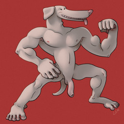anthro feet flaccid flexing foreskin genitals grey_body grey_skin humanoid_feet long_legs long_muzzle long_penis male muscular muscular_male pecs penis plantigrade simple_background small_eyes small_nipples smile solo tongue tongue_out ravuer canid canine canis domestic_dog greyhound hunting_dog mammal sighthound 1:1 hi_res