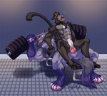 andromorph anthro duo exercise genitals gym intersex intersex/male knot male muscular penetration penis piercing pussy sex tongue tongue_out vaginal vaginal_penetration workout boypretties marf spiritpaw canid canine canis haplorhine mammal monkey primate wolf absurd_res hi_res nonbinary_(lore)