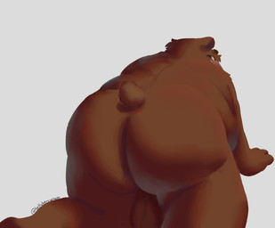 anthro balls big_butt brown_body brown_fur butt fur genitals huge_butt male overweight overweight_male simple_background solo white_background bellyberrycheese bear mammal absurd_res hi_res