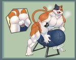 anthro backsack balls big_balls big_penis blue_border border clothing fur genitals humanoid_genitalia humanoid_penis male mottled muscular muscular_anthro muscular_male nipples pecs penetration penis piebald simple_background smile solo mafekoba epic_games fortnite meowscles calico_cat domestic_cat felid feline felis human humanoid mammal hi_res