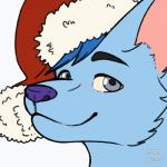 blep blue_body blue_fur blue_hair clothing fur grey_eyes hair hat headgear headwear holidays purple_nose solo tongue tongue_out jalle christmas chazzy canid canine canis mammal wolf 1:1 2d_animation animated short_playtime