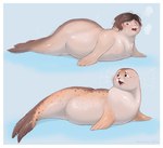 blush breasts butt female feral feral_transformation growth hair human_to_feral mid_transformation nipples nude open_mouth simple_background solo species_transformation surprised tail transformation transformation_sequence momomichi_nsfw human mammal marine pinniped seal 2024 absurd_res colored digital_drawing_(artwork) digital_media_(artwork) hi_res sequence shaded watermark