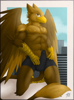 5_fingers abs anthro balls balls_outline beak biceps boxers_(clothing) brown_body brown_fur building bulge city city_background cityscape claws clothed clothing detailed_bulge erection erection_under_clothing feathered_wings feathers feet finger_claws fingers fur genital_outline genitals humanoid_genitalia humanoid_penis kneeling macro male muscular muscular_anthro muscular_male outside pecs penile penis penis_outline sky smile solo tail toe_claws toes topless underwear wings gothwolf mythology carpo avian gryphon mythological_avian mythological_creature hi_res