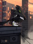 anthro beak black_body black_bottomwear black_clothing black_feathers black_fingerless_gloves black_gloves black_handwear black_hoodie black_pants black_topwear bottomwear building cheek_tuft city cityscape cjk_character clothed clothing crouching empty_eyes facial_tuft feathers fingerless_gloves fingers footwear front_view fully_clothed gloves green_eyes hand_on_face handwear hoodie male narrowed_eyes pants shoes sign skyscraper smoke solo streetwear tail tail_feathers techwear text text_on_clothing text_on_hoodie text_on_topwear three-quarter_view topwear tuft white_clothing white_footwear white_shoes white_sneakers phosphoruscrow nike ryze_(phosphoruscrow) avian bird corvid corvus_(genus) crow oscine passerine 2023 digital_media_(artwork) full-length_portrait hi_res portrait shaded signature soft_shading watermark
