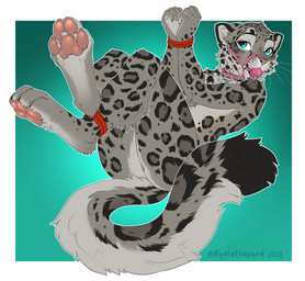 4_toes 5_fingers anthro ball_gag bdsm black_spots bondage bound digitigrade eyebrows eyelashes feet female fingers fur gag grey_body grey_fur markings pawpads solo spots spotted_body spotted_fur toes kyotoleopard nymera felid mammal pantherine snow_leopard 2021 absurd_res dated digital_media_(artwork) hi_res