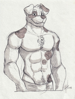 abs anthro bottomwear chest_tuft clothed clothing fangs floppy_ears front_view glistening glistening_eyes head_tuft looking_at_viewer male male_anthro mouth_closed muscular muscular_anthro muscular_male pecs pubes simple_background solo standing teeth topless tuft hufnaar canid canine canis domestic_dog mammal 2018 dated half-length_portrait hi_res portrait sketch