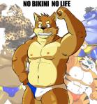 anthro big_muscles bikini_briefs bulge clothed clothing countershading group male mascot muscular muscular_male navel nipples text topless shiba-kenta frosted_flakes kellogg's mythology kenta_shiba_(character) takeshi_inoyama tony_the_tiger canid canine canis domestic_dog dragon felid mammal mythological_creature mythological_scalie pantherine scalie shiba_inu spitz suid suina sus_(pig) tiger wild_boar english_text