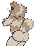 anthro brown_body brown_eyes brown_fur bulge butt clothing crossed_arms fur jockstrap male simple_background smile solo underwear palchamon nintendo pokemon generation_3_pokemon pokemon_(species) zigzagoon absurd_res hi_res