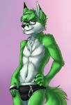 anthro briefs bulge clothing eyewear fur glasses green_body green_fur looking_at_viewer male pose smile solo underwear white_body white_fur tigerinspace shadownight canid canine fox mammal digital_media_(artwork) hi_res pinup