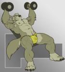 2018 abs absurd_res anthro armpit_hair biceps black_nose blue_eyes body_hair body_writing bulge canid canine canis claws clenched_teeth clothed clothing conal_(character) detailed_bulge digital_media_(artwork) dumbbell english_text exercise fur genital_outline grey_body grey_fur grey_hair hair hi_res lying male mammal muscular muscular_anthro muscular_male nightterror nipples obliques on_back pecs penis_outline simple_background solo speedo swimwear teeth text text_on_body toe_claws topless triceps weightlifting weights wolf workout writing_on_arm