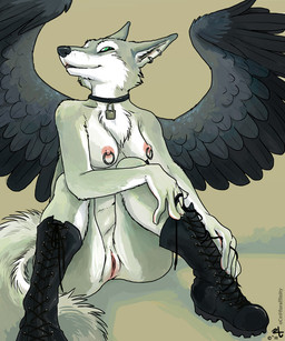 anthro biped boots breasts clothing collar combat_boots ear_piercing feathered_wings feathers female footwear genitals lock looking_at_viewer nipple_piercing nipples nude padlock padlocked_collar piercing ring_nipple_piercing shoes sitting solo tail vulva wings oce delilah_(defenbaugh) canid canine canis hybrid mammal wolf 2011 5:6