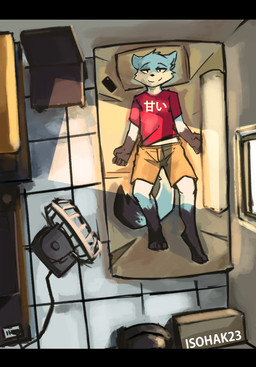 anthro bed black_bars cellphone chair clothed clothing clothing_lift detailed_background electronics fan_(object) fur furniture gloves_(marking) light looking_pleasured lying lying_on_bed male markings multicolored_body multicolored_fur on_bed perspective phone shirt shirt_lift solo sunlight text text_on_clothing topwear window isohak23 loxy_(isohak23) canid canine canis mammal wolf absurd_res hi_res letterbox shaded simple_shading