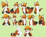 anthro blush cheek_tuft chest_tuft dipstick_ears ear_markings eyes_closed facial_tuft featureless_crotch fur green_background green_eyes hair male multicolored_ears neck_tuft no_pupils nude one_eye_closed open_mouth open_smile orange_body orange_fur orange_hair short_hair simple_background smile solo tail tail_motion tailwag tuft white_body white_fur martinballamore canid canine mammal absurd_res hi_res multiple_images