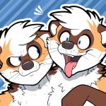 2_heads anthro blue_eyes conjoined excited eyebrows looking_at_another male multi_head multifur open_mouth raised_eyebrow solo tongue tongue_out frankieancelotti canid canine fox mammal mephitid mustelid otter skunk 1:1 icon