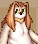 anthro black_eyes brown_background brown_body brown_feathers chest_tuft feathers looking_at_viewer looking_back looking_back_at_viewer male neck_tuft simple_background solo tuft white_body yellow_sclera orangejuicemann avian bird owl 2024 character_request digital_media_(artwork) pixel_(artwork)