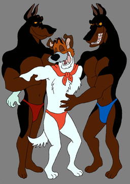 3_toes 4_fingers anthro biped black_body black_fur black_nose blue_clothing blue_speedo blue_swimwear brown_body brown_fur chest_tuft closed_smile clothing eyes_closed feet fingers fur fur_tuft grey_background group laugh looking_at_another male mouth_closed multicolored_body multicolored_fur navel open_mouth open_smile orange_sclera pecs red_clothing red_speedo red_swimwear restrained_arms simple_background smile speedo standing swimwear tail teeth tickle_fetish tickle_torture tickling tickling_belly toes tongue trio tuft two_tone_body two_tone_fur white_body white_fur metalexveemon disney oliver_and_company desoto_(disney) dodger_(disney) roscoe_(disney) canid canine canis dobermann domestic_dog hunting_dog jack_russell_terrier mammal pinscher terrier hi_res