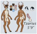 anthro antlers biped blue_eyes bodily_fluids border brown_body brown_fur cum erection flaccid fur genital_fluids genitals horn male penis solo standing white_border ethriol tzarious deer mammal new_world_deer white-tailed_deer model_sheet