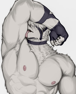 abs anthro arm_belt armpit_focus armpit_hair athletic athletic_anthro athletic_male bangs barazoku biceps body_hair claws clothing collar finger_claws fingerless_gloves fur gloves hair hair_over_eyes handwear inviting latissimus_dorsi licking licking_arm licking_bicep long_bangs male muscular muscular_anthro muscular_male muzzle_(object) neck_tuft nipples pecs pink_nipples pink_tongue self_lick serratus sharp_teeth simple_background solo teeth tongue triceps tuft white_body white_fur sir_arion mihoyo vlatt23_pose zenless_zone_zero von_lycaon canid canine canis mammal thiren wolf absurd_res half-length_portrait hi_res portrait