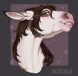 ambiguous_gender blue_eyes brown_hair eyelashes eyeshadow feral fur hair lips long_hair looking_at_viewer makeup markings mottled mottled_body mottled_fur open_mouth piebald piebald_body piebald_fur pink_lips pink_nose simple_background smile solo teeth white_body white_fur conditional_dnp tgt1512 asinus donkey equid equine hybrid mammal mule digital_media_(artwork) headshot_portrait hi_res portrait female_(lore)