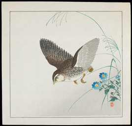 ambiguous_feral ambiguous_gender avian_feet beak biped bipedal_feral cjk_character feathered_wings feathers feral flower flying leaf plant scuted_feet scuted_legs scutes side_view simple_background solo spread_wings tail tail_feathers wings ohara_koson public_domain avian bird galliform phasianid quail 20th_century absurd_res ancient_art hi_res traditional_media_(artwork)