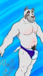 anthro bulge butt clothing detailed_bulge fingers fur male muscular muscular_male overweight overweight_male simple_background smile solo poochybig emery_waldren canid canine canis domestic_dog mammal 9:16 digital_media_(artwork) hi_res