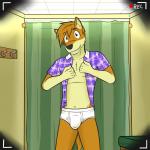 1:1 anthro blue_clothing blue_shirt blue_topwear briefs bulge canid canine clothing coat_hook dress_shirt fitting_room fox front_view fuze hi_res inside looking_at_viewer male mammal one_way_mirror pattern_clothing pattern_shirt pattern_topwear plaid plaid_clothing plaid_shirt plaid_topwear recording shiorinfox shirt solo standing tighty_whities topwear underwear vignette white_briefs white_clothing white_underwear