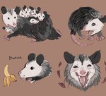 age_difference banana brown_background family food fruit grey_body happy heart_symbol looking_at_viewer pink_nose plant scared silly simple_background teeth tongue trash white_body young claragonza3 american_opossum mammal marsupial digital_drawing_(artwork) digital_media_(artwork) sketch