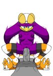 anthro breasts clothing duo female footwear genitals leggings legwear male male/female nipples nude penetration penis pussy sex shoes slippers spread_legs spreading vaginal vaginal_penetration anonymous_artist sega sonic_riders sonic_the_hedgehog_(series) wave_the_swallow swallow_(disambiguation) hi_res