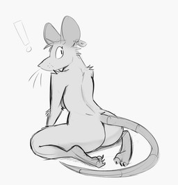 anthro biped butt claws ear_piercing ear_tag exclamation_point feet female hindpaw looking_at_viewer looking_back looking_back_at_viewer nude paws piercing rat_tail rear_view solo tail toe_claws unsigned whisker_spots whiskers schmutzo mammal murid murine rat rodent 2023 digital_media_(artwork) full-length_portrait greyscale hi_res monochrome portrait sketch