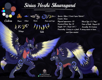 anthro breasts dark_body dark_fur fangs feral fur herm intersex multi_tail pawpads solo tail teeth text wings senz sirius_hoshi_skaarsgard canid canine canis hybrid mammal wolf absurd_res english_text hi_res model_sheet url