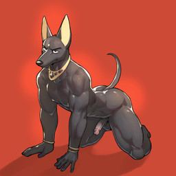 all_fours annoyed anthro areola balls black_body black_fur bracelet fingers front_view frown fur genitals glans half-erect humanoid_genitalia humanoid_hands humanoid_penis jewelry male muscular muscular_anthro muscular_male nipples nude_anthro nude_male pecs penis pose red_background shadow simple_background solo tail three-quarter_view jrjresq egyptian_mythology middle_eastern_mythology mythology anubis canid canine deity mammal 1:1 colored full-length_portrait hi_res portrait shaded