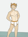 3:4 anthro briefs bulge clothed clothing colored_seam_underwear equid equine fuze hi_res horse horse_frat_dude_(fuze) male mammal navel nipples orange_seam_underwear smile solo topless underwear underwear_only white_briefs white_clothing white_underwear