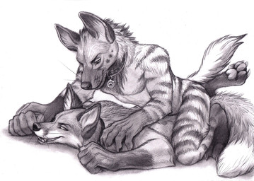 anthro claws collar collar_tag duo finger_claws inner_ear_fluff male male/male neck_tuft nude_anthro nude_male pawpads paws pinned pinned_to_ground pointy_ears prick_ears simple_background straddling stripes tail teeth toe_claws tuft whisker_spots whiskers oakfury laszlo_(stripeyyena) samuel_(msoundfriend) canid canine fox hyena mammal striped_hyena 2025 graphite_(artwork) greyscale hi_res monochrome traditional_media_(artwork)