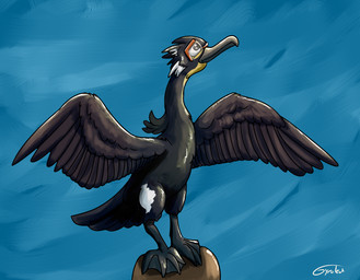 avian_feet beak black_body cheek_markings eyewear facial_markings feathered_wings feathers feet feral glasses head_markings markings membrane_(anatomy) solo spread_wings timelapse_at_source toes webbed_feet white_markings wings gyrotech avian bird cormorant spectacled_cormorant suliform absurd_res hi_res