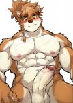 abs anthro biceps fur genitals hair humanoid_genitalia humanoid_penis male multicolored_body multicolored_fur muscular muscular_anthro muscular_male nipples nude pecs penis simple_background solo kumak71395 epic7 cartuja canid canine mammal 2019 hi_res