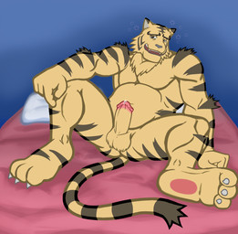 anthro balls bed belly biceps biped bodily_fluids butt claws drunk erection feet fur furniture genital_fluids genitals hindpaw long_tail looking_at_viewer lying male musclegut muscular muscular_anthro muscular_male nude on_back on_bed open_mouth pawpads paws pecs penis pillow precum sitting slightly_chubby smile solo spreading stripes substance_intoxication tail teeth toes tuft anso/rez konami yu-gi-oh! dizzy_tiger duel_monster felid mammal pantherine tiger digital_media_(artwork) hi_res