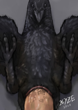 ambiguous_gender ambiguous_on_human ambiguous_penetrated animal_genitalia avian_butt beak bestiality black_body black_feathers claws cloaca cloacal cloacal_penetration duo erection feathers feral feral_penetrated first_person_view genitals human_on_feral human_penetrating human_penetrating_ambiguous human_penetrating_feral human_pov humanoid_genitalia humanoid_penis interspecies male male/ambiguous male_on_feral male_penetrating male_penetrating_ambiguous male_penetrating_feral male_pov penetrating_pov penetration penile penile_penetration penis scuted_legs scutes sex simple_background size_difference smaller_penetrated toe_claws el_kyze avian bird corvid corvus_(genus) crow human mammal oscine passerine hi_res