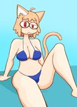 blue_clothing blue_underwear clothing female hair legwear light_body light_hair light_skin looking_at_viewer overweight short_hair smug smug_face solo tights underwear white_body white_skin scrimer_the_artposter tsukihime type-moon neco-arc felid humanoid mammal