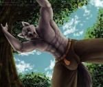 abs biceps blue_eyes bulge clothed clothing forest looking_at_viewer male medieval muscular muscular_male nipples outside pecs plant smile solo standing tree sevenarms fairy_tales little_red_riding_hood_(copyright) big_bad_wolf canid canine canis mammal wolf 2018 digital_media_(artwork)