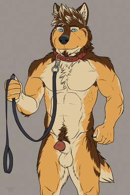 animal_genitalia animal_penis anthro armpit_hair balls biped black_nose blue_eyes body_hair brown_body brown_fur canine_genitalia canine_penis collar facial_hair front_view fur genitals goatee happy_trail holding_leash holding_object leash leashed_collar looking_at_viewer male muscular muscular_anthro muscular_male nude penis penis_tip red_collar sheath simple_background smile smiling_at_viewer smirk smirking_at_viewer solo standing tail tan_body tan_fur yellow_body yellow_fur rekkidoggo rex_(rekkidoggo) canid canine canis domestic_dog mammal 2:3 digital_drawing_(artwork) digital_media_(artwork) flat_colors hi_res