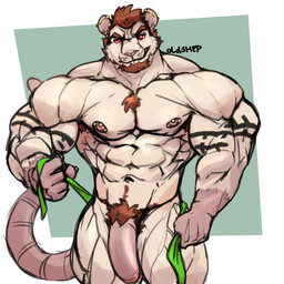 5_fingers abs anthro areola arm_tattoo armpit_hair barazoku barbell_piercing beard biceps big_muscles big_penis biped body_hair broad_shoulders brown_armpit_hair brown_beard brown_eyebrows brown_facial_hair brown_hair brown_pubes buckteeth chest_hair chest_tuft claws closed_smile deltoids ear_piercing ear_stud eyebrows facial_hair finger_claws fingers fist flaccid foreskin front_view fur genitals glans hair happy_trail huge_muscles humanoid_genitalia humanoid_hands humanoid_penis industrial_piercing looking_at_viewer male male_anthro manly mouth_closed muscular muscular_anthro muscular_arms muscular_male muscular_thighs navel nipple_barbell nipple_piercing nipples nude nude_anthro nude_male pecs penis piercing pink_areola pink_ears pink_glans pink_hands pink_nipples pink_nose pink_penis pink_tail pubes quads red_eyes short_hair simple_background smile smiling_at_viewer solo standing tail tattoo teeth trapezius triceps tuft white_body white_fur oldshep timothy_"brofessor"_fessenden mammal murid murine rat rodent 1:1 digital_drawing_(artwork) digital_media_(artwork) portrait shaded signature three-quarter_portrait