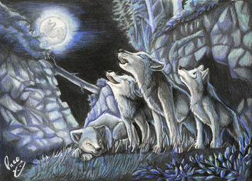 ambiguous_feral ambiguous_gender detailed_background ears_back eyes_closed feral fur grey_body grey_fur group howl logo looking_up lying moon mouth_closed night on_front open_mouth pivoted_ears plant quadruped tree white_body white_fur young young_ambiguous young_feral pandapaco canid canine canis mammal wolf artist_logo signature